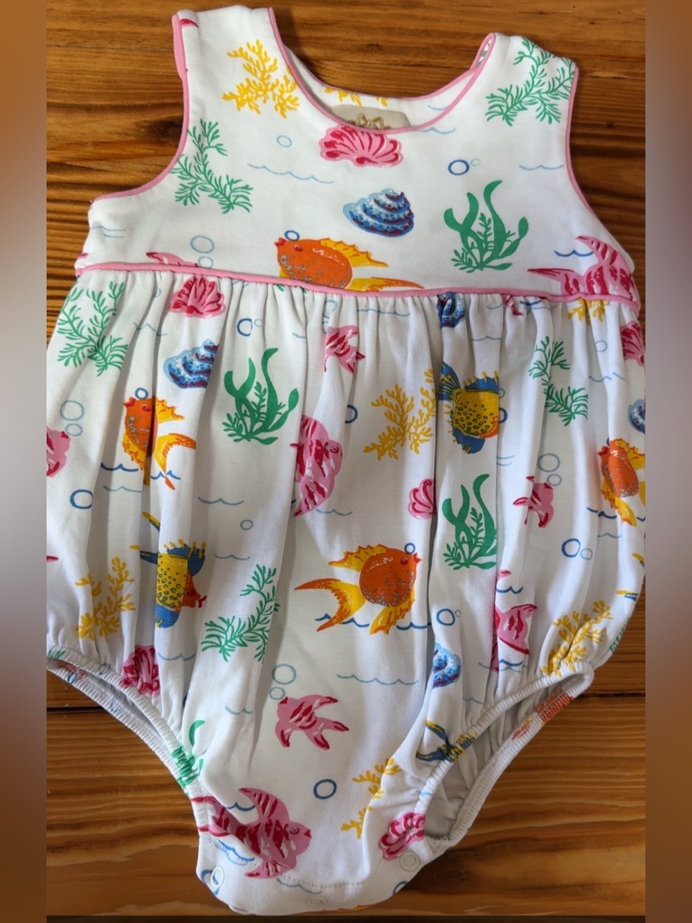 Fripp Fishies TBBC bubble